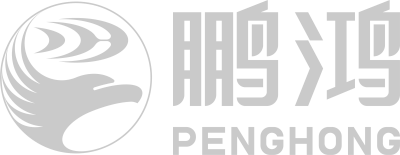 BBIN宝盈集团logo