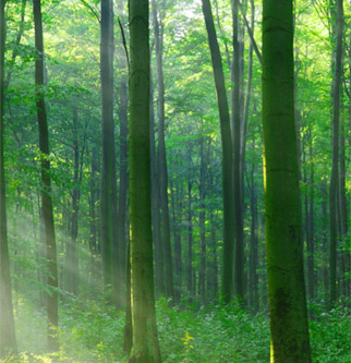 首页-BBIN宝盈集团官方网站