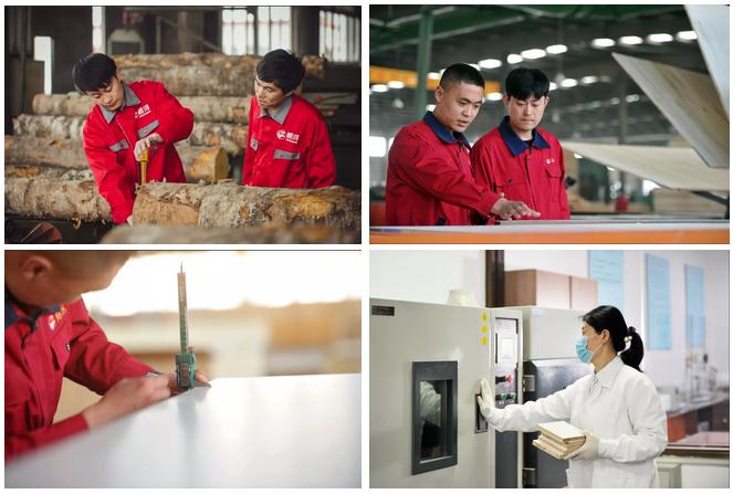 首页-BBIN宝盈集团官方网站