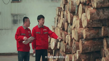 首页-BBIN宝盈集团官方网站