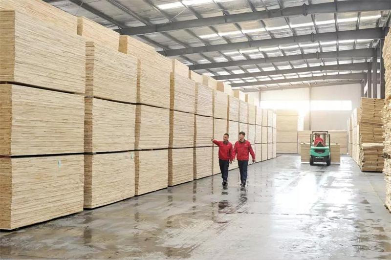 BBIN宝盈集团板材出产基地