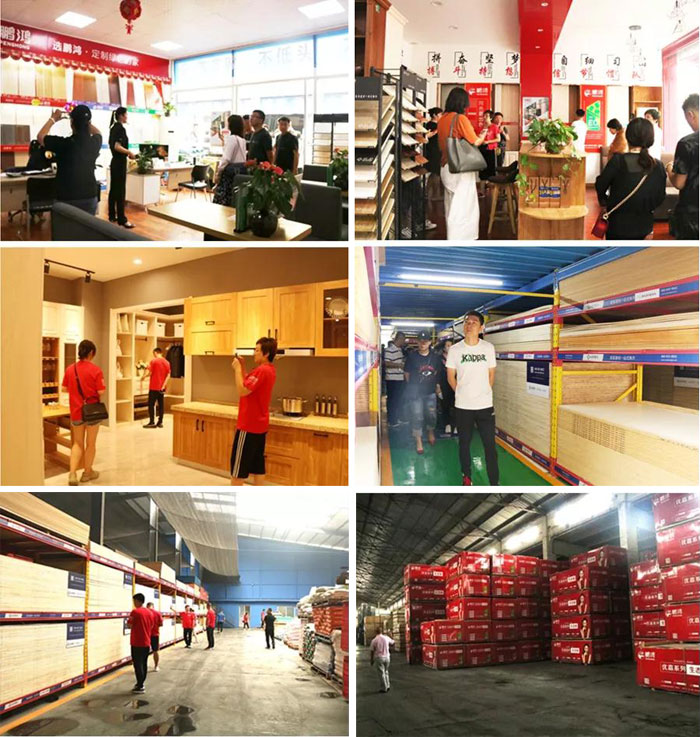 沈阳BBIN宝盈集团山东调查进建