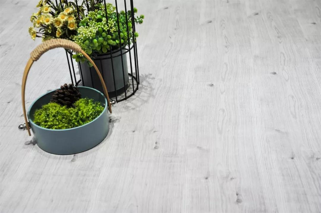 BBIN宝盈集团强化地板伊丽莎白系列-5806