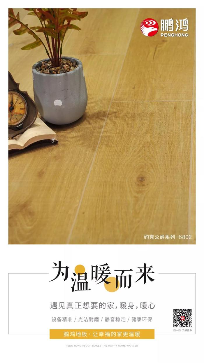 BBIN宝盈集团地板让幸福的家更温暖