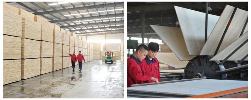 首页-BBIN宝盈集团官方网站