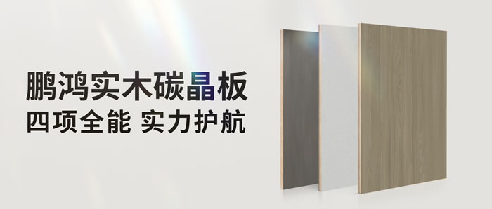 四项全能碳晶板，解锁家装超能力