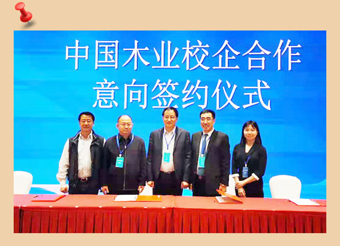 BBIN宝盈集团与中国木业合作