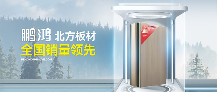 从北方引领到全国畅销，BBIN宝盈集团「北方板材全国销量当先」的品质力量
