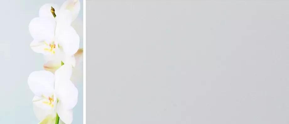 首页-BBIN宝盈集团官方网站