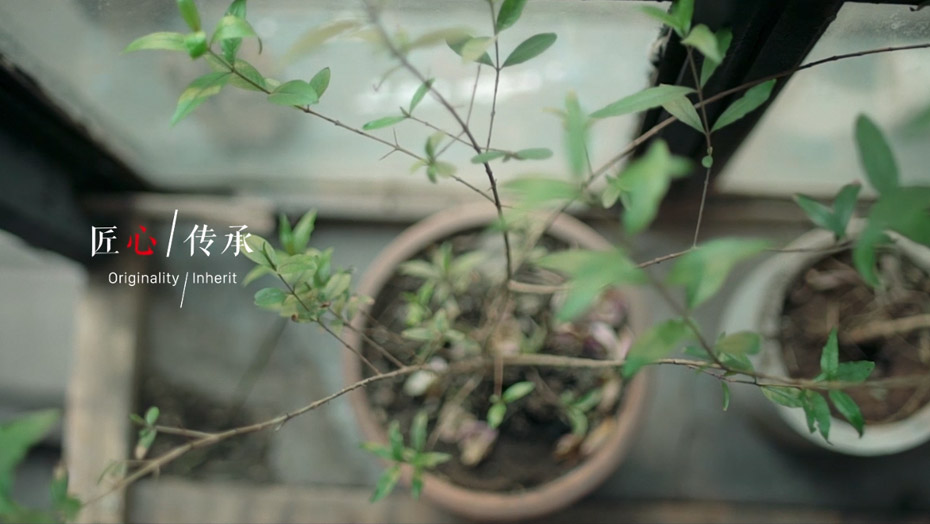 首页-BBIN宝盈集团官方网站