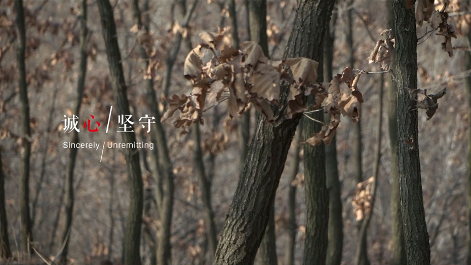 首页-BBIN宝盈集团官方网站